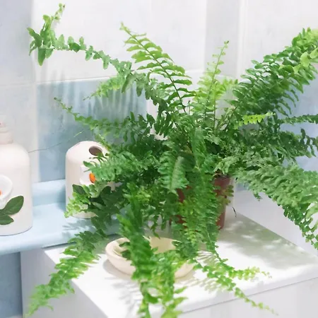 H11 Blu - Vicino A Spiagge - Casino Апартаменты *