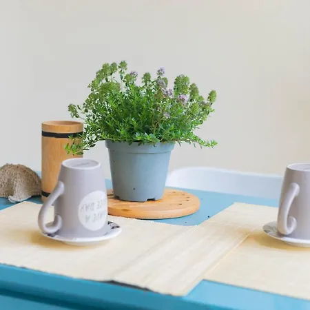 H11 Blu - Vicino A Spiagge - Casino * Sanremo