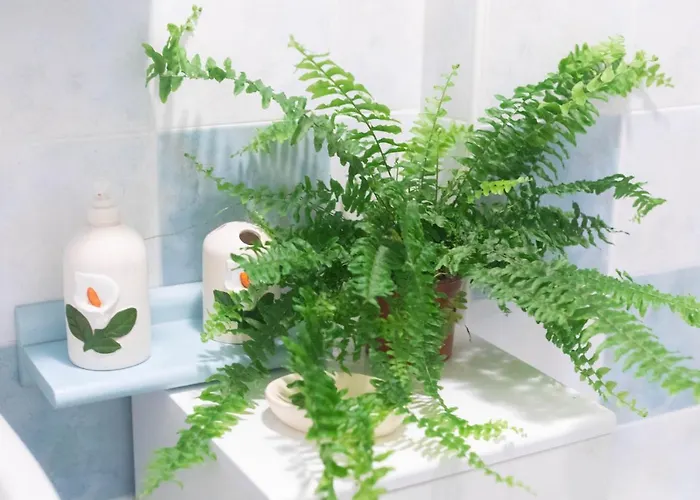 H11 Blu - Vicino A Spiagge - Casino Lejlighed *